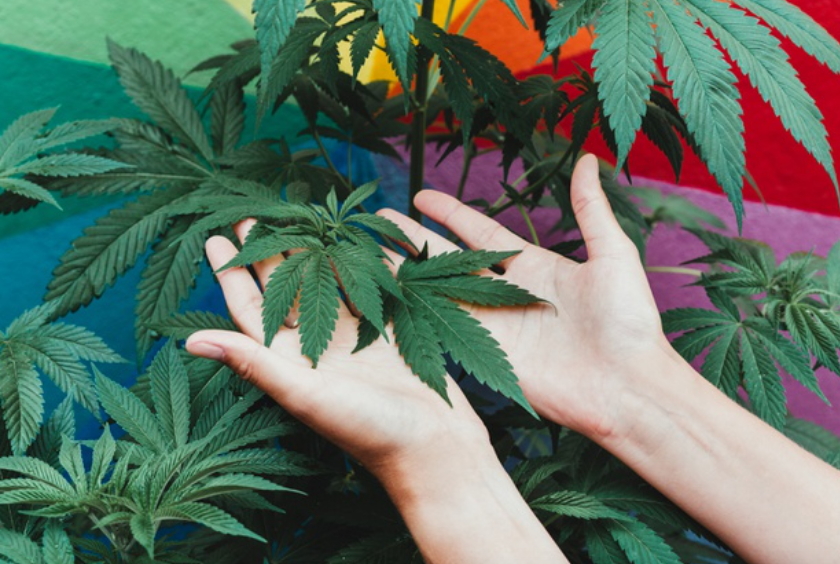 5 Amazing Reasons Why Weed May Be A Woman’s Best Friend