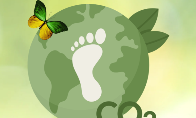 What is a Carbon Footprint and Why is it Important?