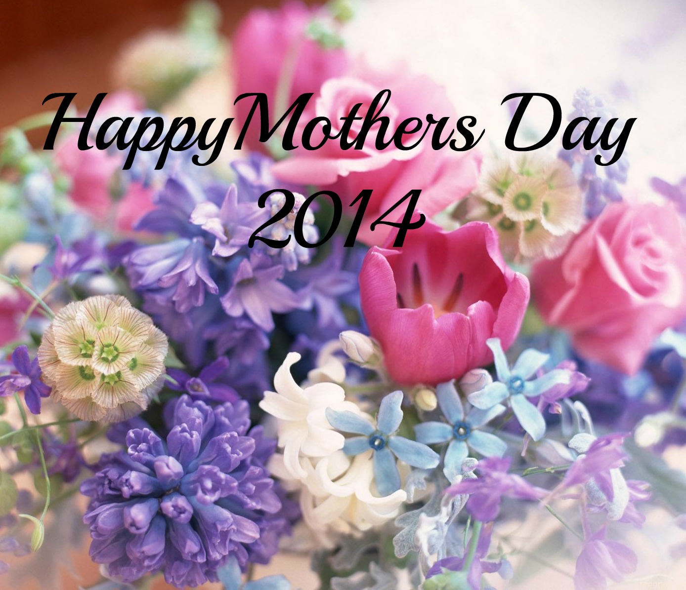 Have a Happy Mother’s Day…2014