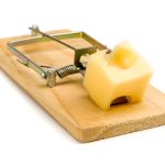 How to Build a Better Mousetrap with Social Media