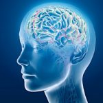 Computerized Brain Training Helps Keep Brains Young