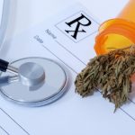 Aversion to Prescription Marijuana Could Be Causing Canadians Harm