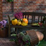 8 Tips to Create a Warm, Inviting and Healthy Home This Thanksgiving